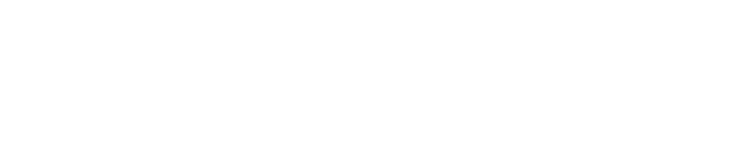 Larviz logo in white color